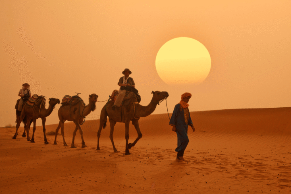 🏜️ Sahara  Desert  Tours : What to Expect ? and How to Prepare?